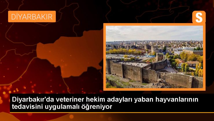 Diyarbakır’da Veteriner Hekim Adayları Yaban Hayvanlarını Uygulamalı Öğreniyor