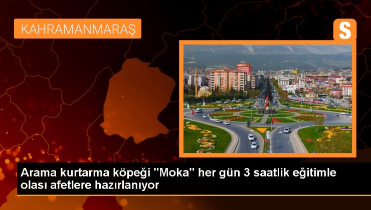 Sakarya İtfaiyesi’nin arama kurtarma köpeği Moka, her zaman göreve hazır