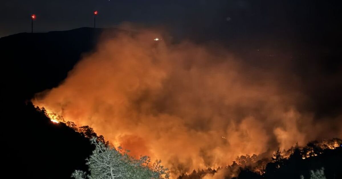 Hatay’da orman yangını