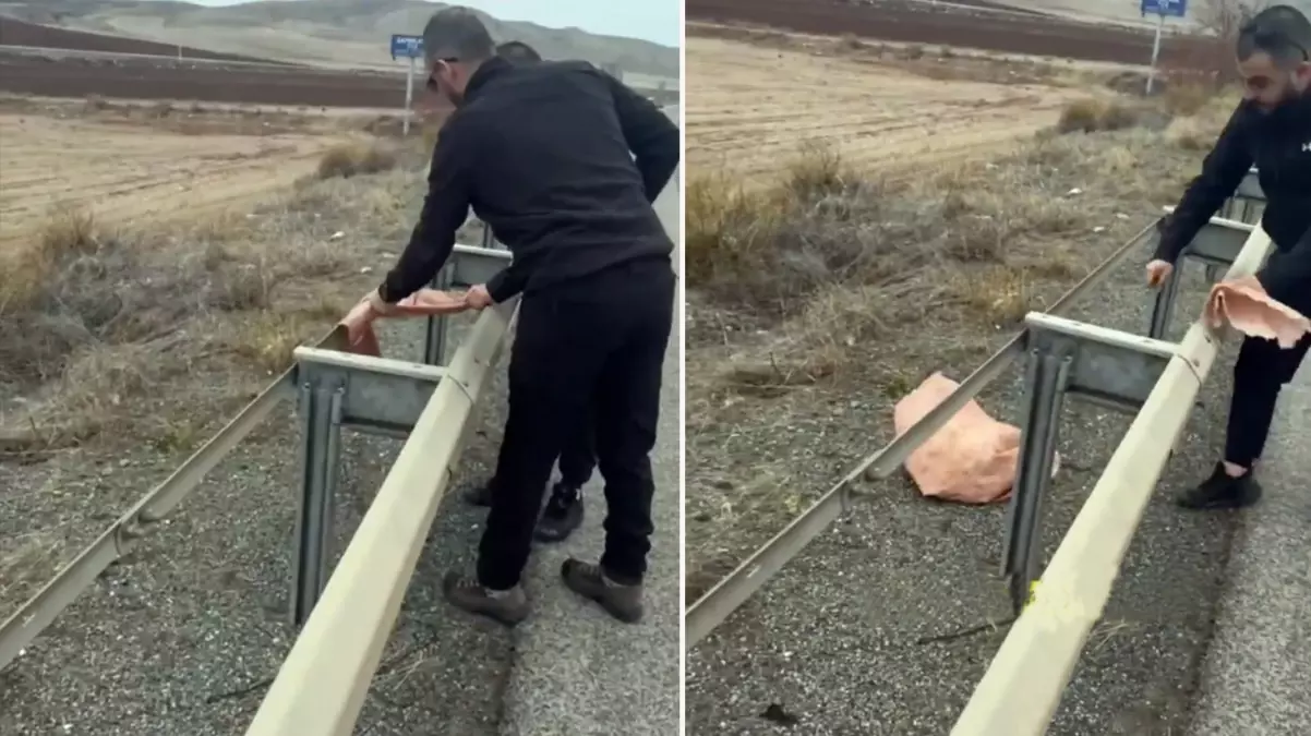 Yol kenarına bırakılan çuvalı açan vatandaşlar, korkunç bir manzarayla karşılaştı