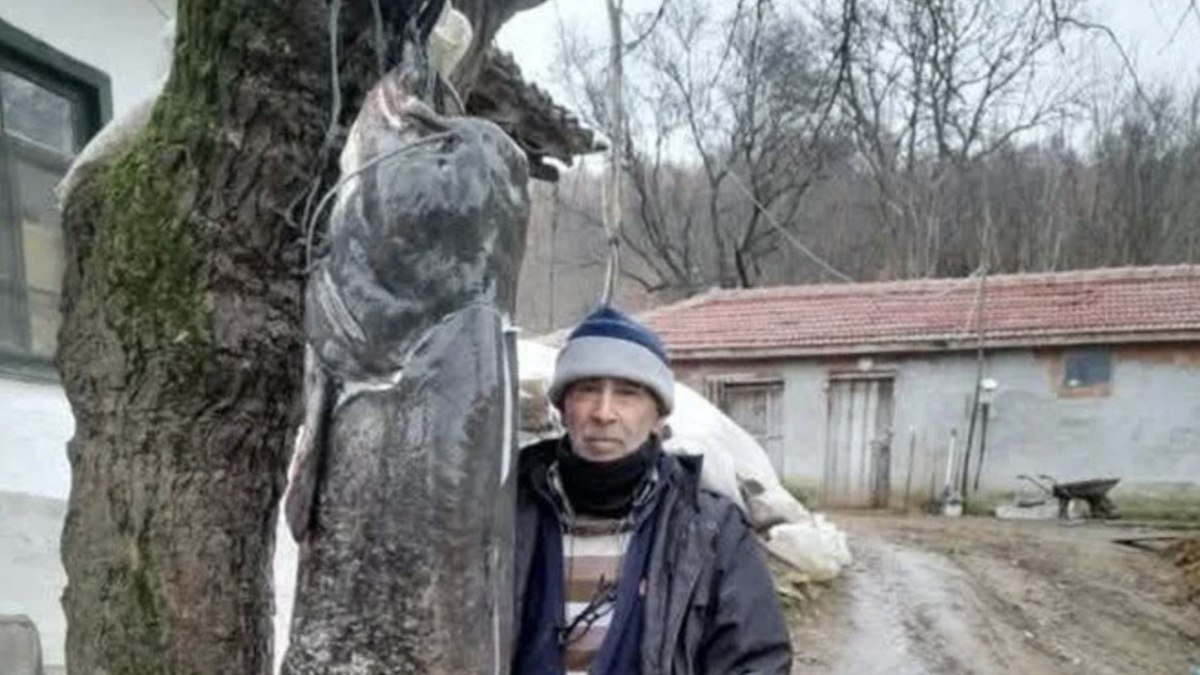 Edirne’de iki buçuk metre boyunda yayın balığı yakaladı